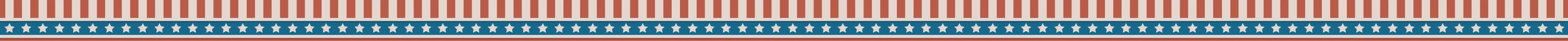 Topbar della pagina di data visualization che richiama la bandiera americana